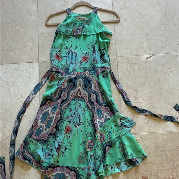Etro Dresses & Skirts - Etro Green Paisley beautiful Dress🌺💗